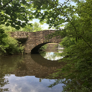 Trewellyn Farm Trail